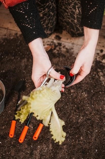 Comment Conserver Les Poireaux Du Jardin