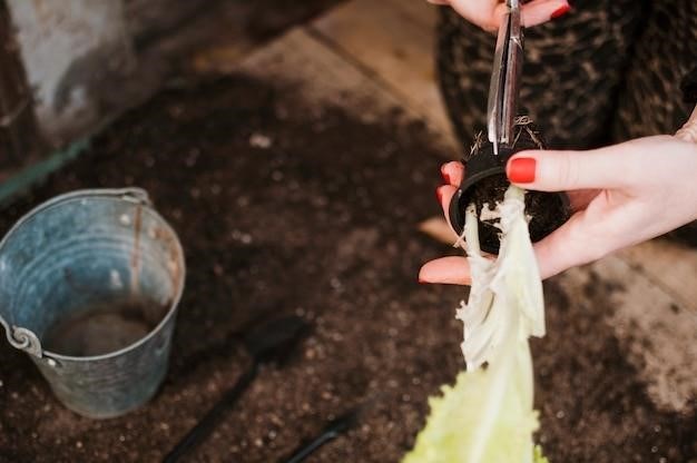 Comment Conserver Les Poireaux Du Jardin