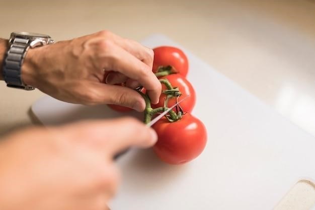 Comment Conserver Les Tomates Sans Stérilisation