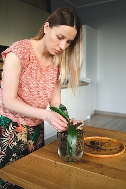 Comment Conserver Les Feuilles D'ugu Fraîches