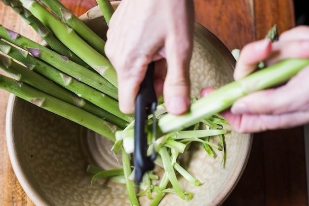 Comment Conserver Les Feuilles De Pandan