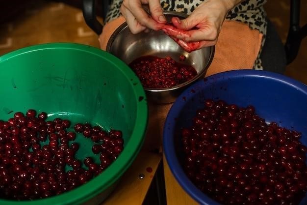 Comment Conserver Les Cerises Douces