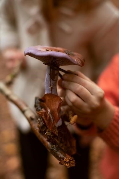 Comment Congeler Les Champignons Hen Of The Woods