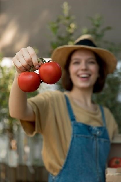 Comment Conserver Les Tomates De Votre Jardin