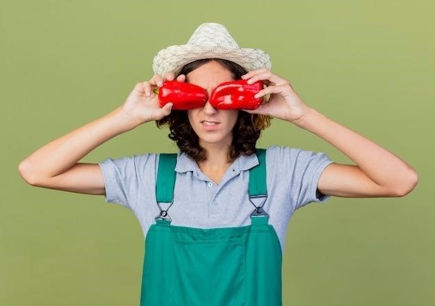 Comment Conserver Les Tomates Fraîches Du Jardin