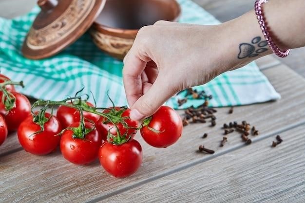 Comment Conserver Les Tomates Cerises Du Jardin