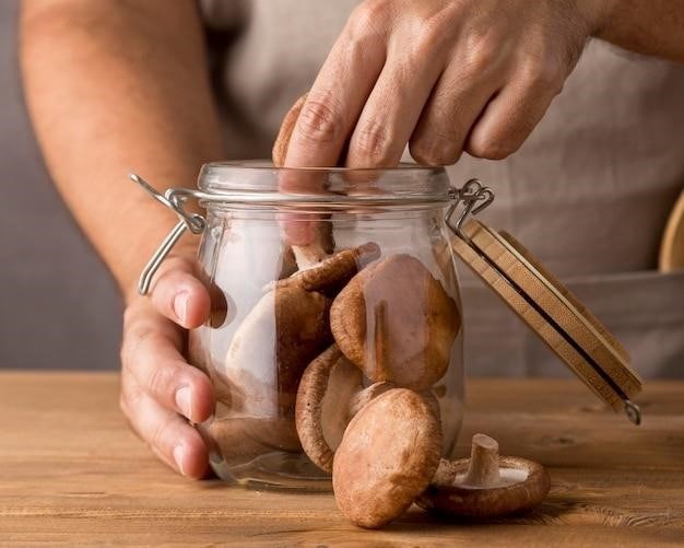 Comment Conserver Les Cèpes Frais