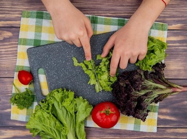 Comment Conserver Les Feuilles De Légumes